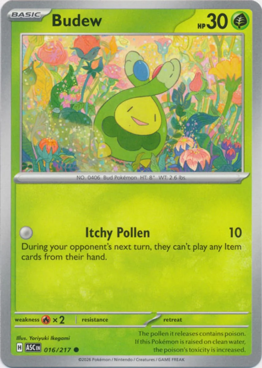 Budew - 016/217 - Common