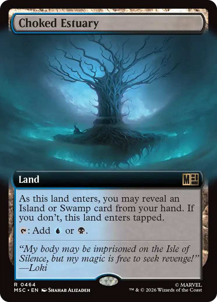 Choked Estuary - Extended Art (MSC)