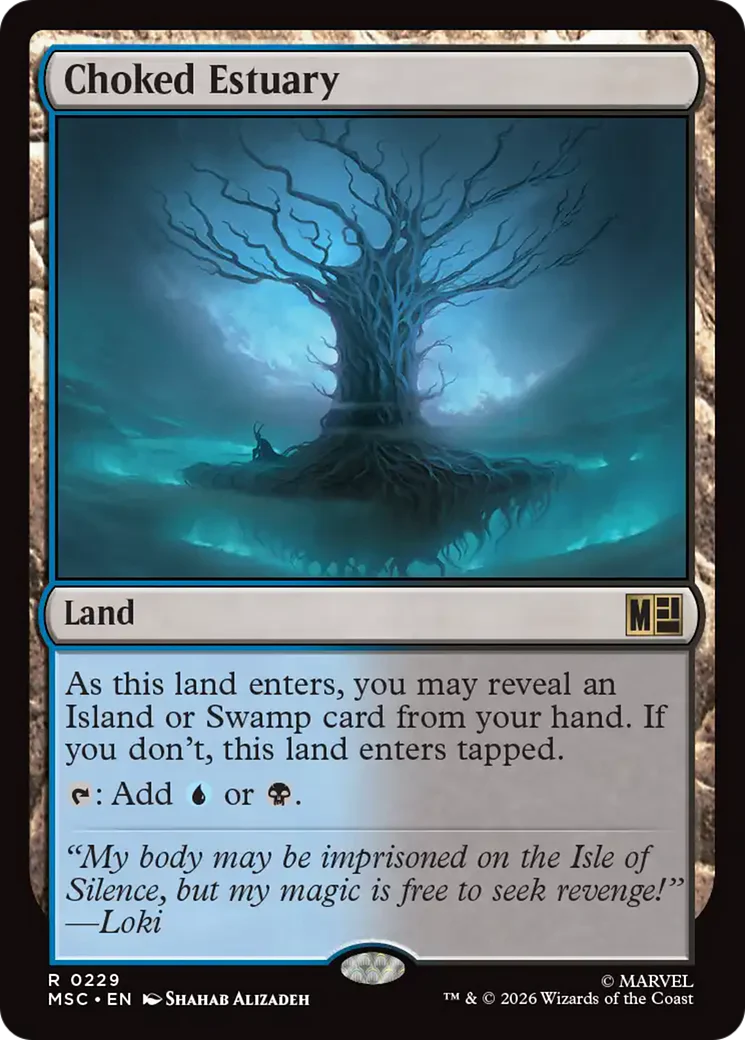 Choked Estuary (MSC)
