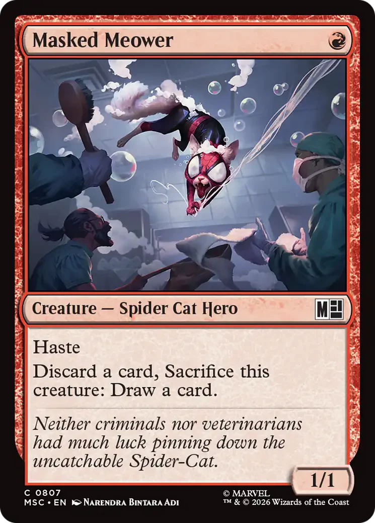 Masked Meower (MSC)