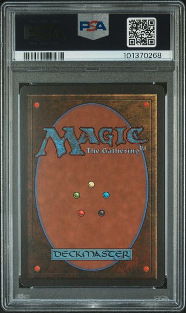 Swamp (C) - Summer Magic - PSA Graded 8 101370268 - Image 2